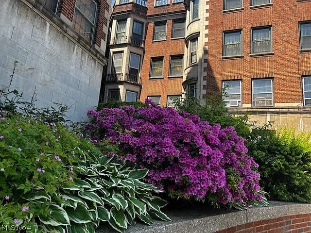11430 Cedatr Glen Pkwy Unit 1B2, Cleveland, OH, 44106